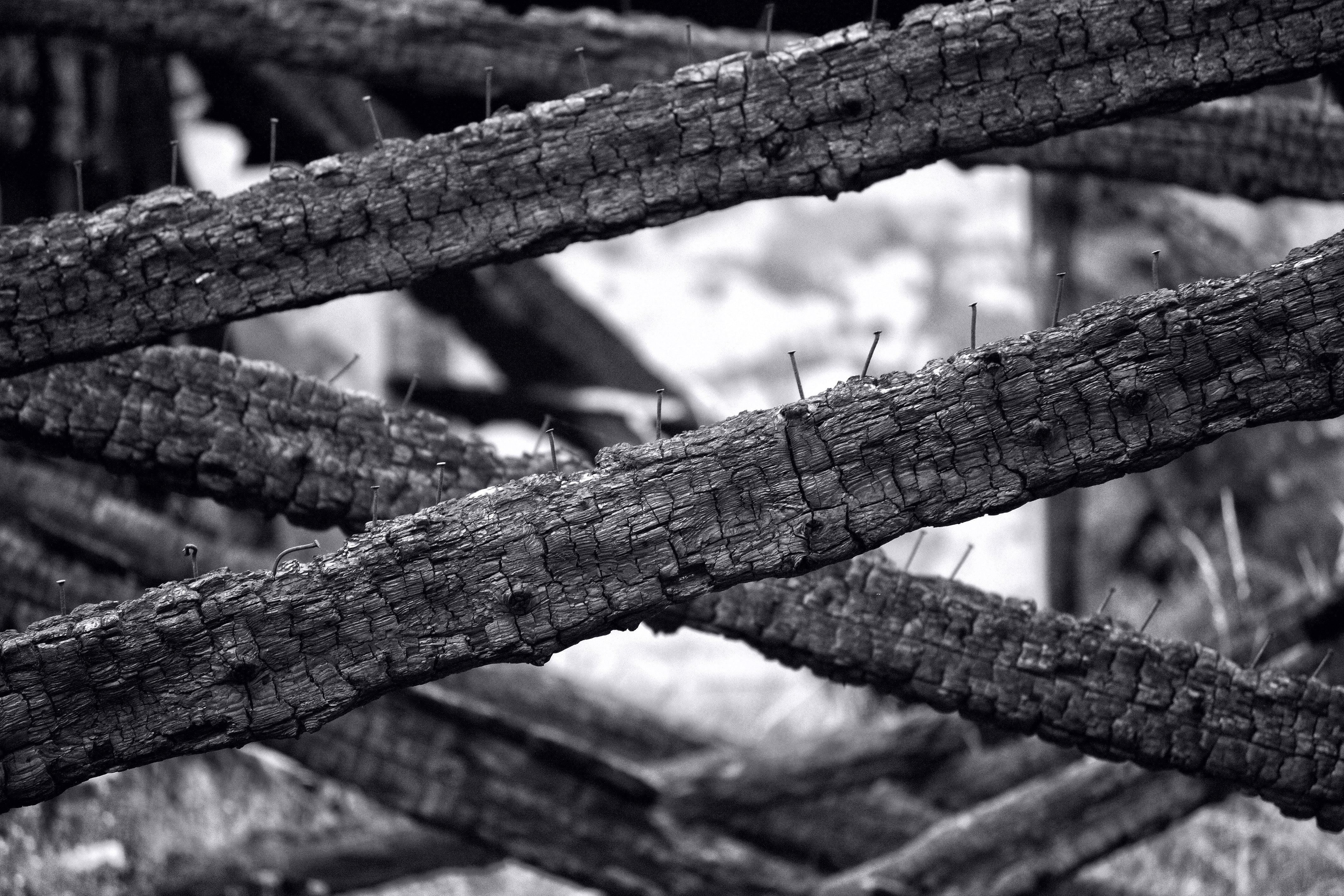 Brandsanierung in Deutschland – Vorschriften, Sicherheitsmaßnahmen & Schutzausrüstung